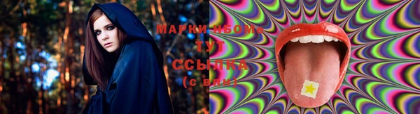 ГАЛЛЮЦИНОГЕННЫЕ ГРИБЫ Магас