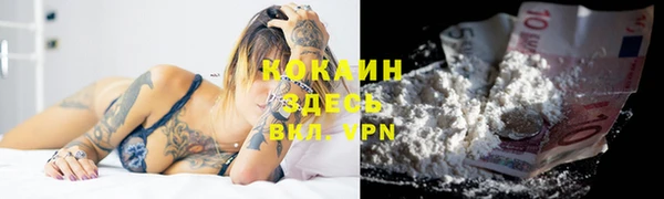 ГАЛЛЮЦИНОГЕННЫЕ ГРИБЫ Магас