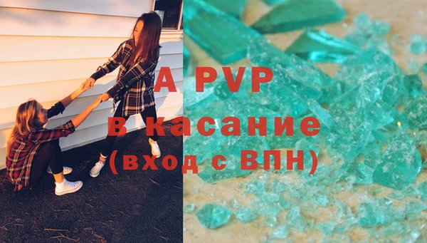 ГАЛЛЮЦИНОГЕННЫЕ ГРИБЫ Магас