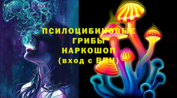 ГАЛЛЮЦИНОГЕННЫЕ ГРИБЫ Магас