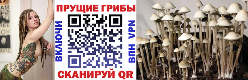 Галлюциногенные грибы прущие грибы Ильский