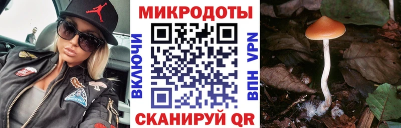Галлюциногенные грибы мицелий  Ильский 